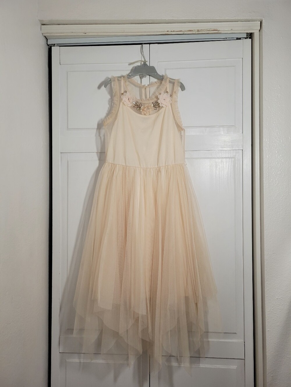 Whimsical Tulle blush sheer dress, size 10